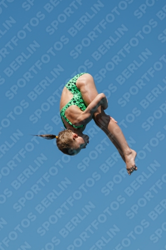 2017 - 8. Sofia Diving Cup 2017 - 8. Sofia Diving Cup 03012_25668.jpg