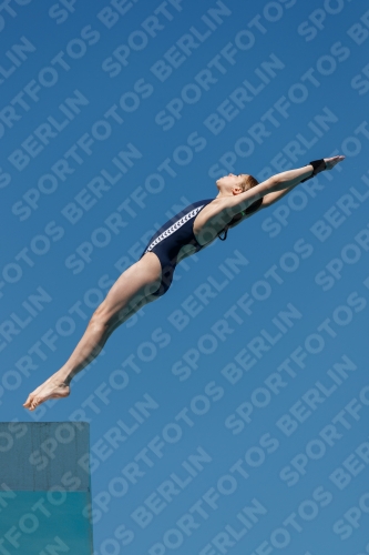 2017 - 8. Sofia Diving Cup 2017 - 8. Sofia Diving Cup 03012_25673.jpg