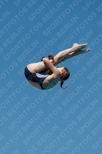 2017 - 8. Sofia Diving Cup 2017 - 8. Sofia Diving Cup 03012_25677.jpg