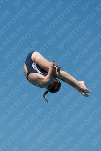 2017 - 8. Sofia Diving Cup 2017 - 8. Sofia Diving Cup 03012_25678.jpg