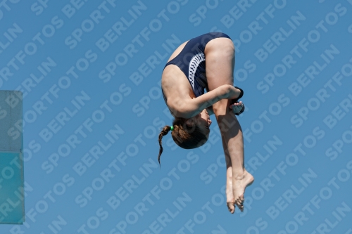 2017 - 8. Sofia Diving Cup 2017 - 8. Sofia Diving Cup 03012_25679.jpg