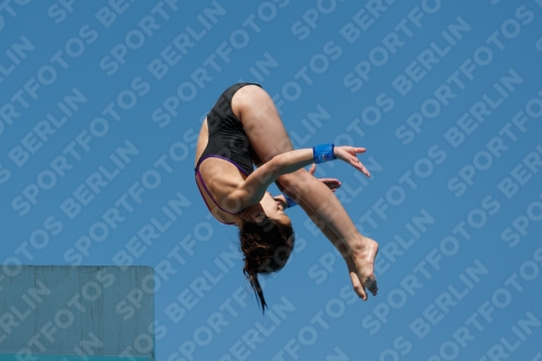 2017 - 8. Sofia Diving Cup 2017 - 8. Sofia Diving Cup 03012_25680.jpg