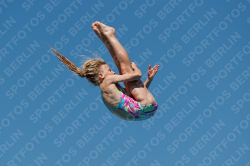 2017 - 8. Sofia Diving Cup 2017 - 8. Sofia Diving Cup 03012_25691.jpg