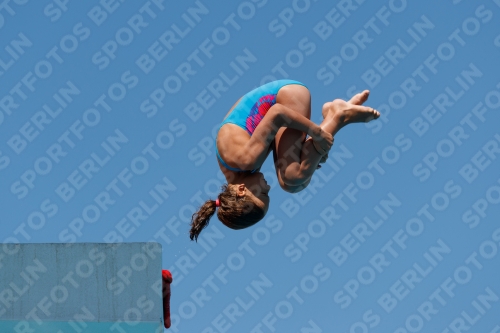 2017 - 8. Sofia Diving Cup 2017 - 8. Sofia Diving Cup 03012_25697.jpg