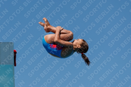 2017 - 8. Sofia Diving Cup 2017 - 8. Sofia Diving Cup 03012_25699.jpg