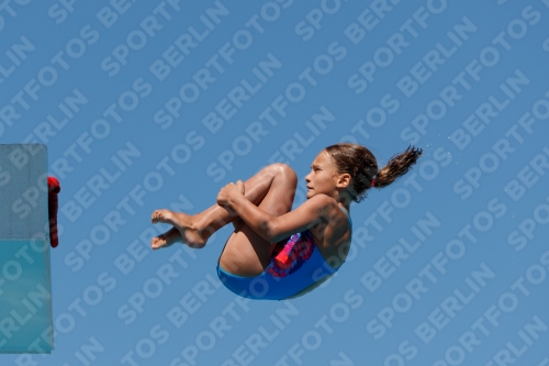 2017 - 8. Sofia Diving Cup 2017 - 8. Sofia Diving Cup 03012_25700.jpg