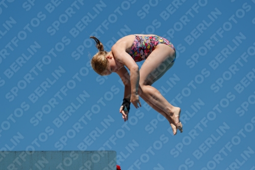 2017 - 8. Sofia Diving Cup 2017 - 8. Sofia Diving Cup 03012_25704.jpg