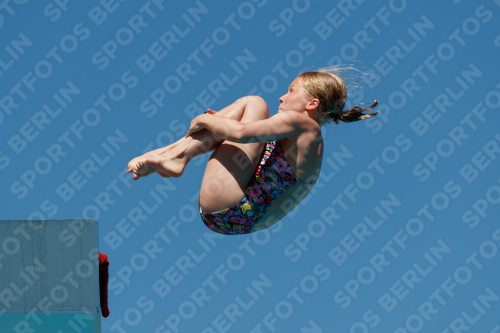 2017 - 8. Sofia Diving Cup 2017 - 8. Sofia Diving Cup 03012_25708.jpg