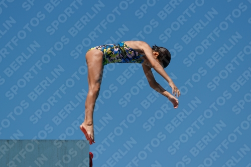 2017 - 8. Sofia Diving Cup 2017 - 8. Sofia Diving Cup 03012_25728.jpg