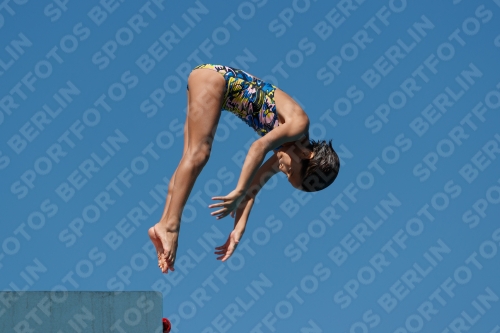 2017 - 8. Sofia Diving Cup 2017 - 8. Sofia Diving Cup 03012_25729.jpg