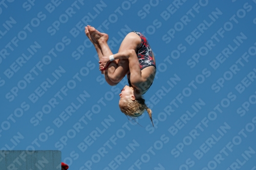 2017 - 8. Sofia Diving Cup 2017 - 8. Sofia Diving Cup 03012_25736.jpg