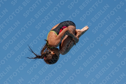 2017 - 8. Sofia Diving Cup 2017 - 8. Sofia Diving Cup 03012_25747.jpg