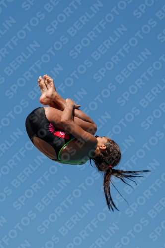 2017 - 8. Sofia Diving Cup 2017 - 8. Sofia Diving Cup 03012_25749.jpg