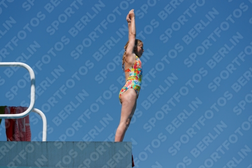 2017 - 8. Sofia Diving Cup 2017 - 8. Sofia Diving Cup 03012_25753.jpg