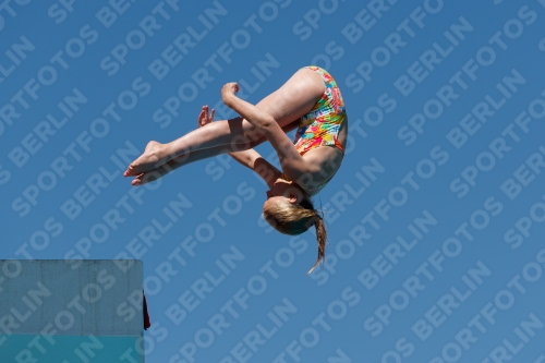 2017 - 8. Sofia Diving Cup 2017 - 8. Sofia Diving Cup 03012_25757.jpg
