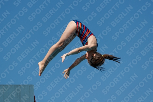 2017 - 8. Sofia Diving Cup 2017 - 8. Sofia Diving Cup 03012_25763.jpg
