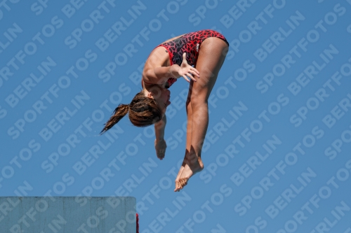2017 - 8. Sofia Diving Cup 2017 - 8. Sofia Diving Cup 03012_25783.jpg