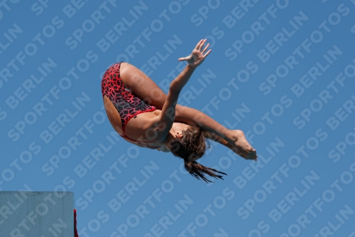 2017 - 8. Sofia Diving Cup 2017 - 8. Sofia Diving Cup 03012_25785.jpg