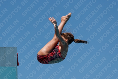 2017 - 8. Sofia Diving Cup 2017 - 8. Sofia Diving Cup 03012_25787.jpg