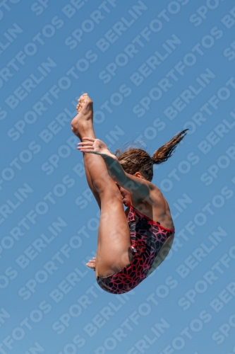 2017 - 8. Sofia Diving Cup 2017 - 8. Sofia Diving Cup 03012_25788.jpg