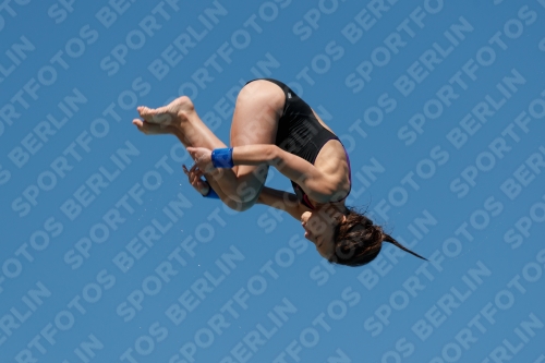 2017 - 8. Sofia Diving Cup 2017 - 8. Sofia Diving Cup 03012_25802.jpg