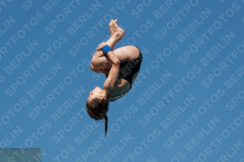 2017 - 8. Sofia Diving Cup 2017 - 8. Sofia Diving Cup 03012_25803.jpg