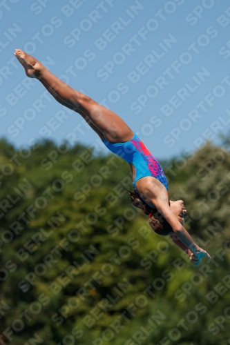 2017 - 8. Sofia Diving Cup 2017 - 8. Sofia Diving Cup 03012_25825.jpg
