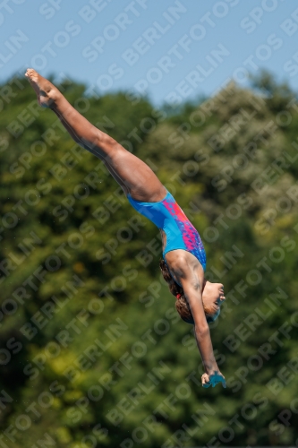 2017 - 8. Sofia Diving Cup 2017 - 8. Sofia Diving Cup 03012_25826.jpg