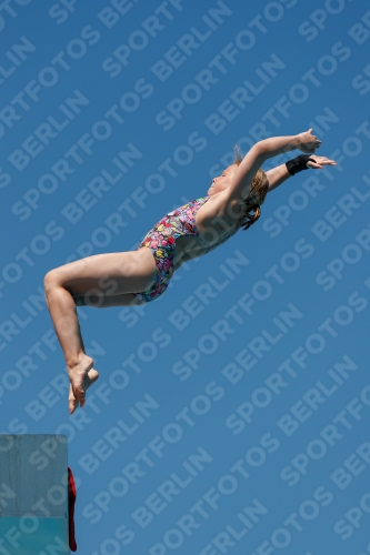 2017 - 8. Sofia Diving Cup 2017 - 8. Sofia Diving Cup 03012_25829.jpg