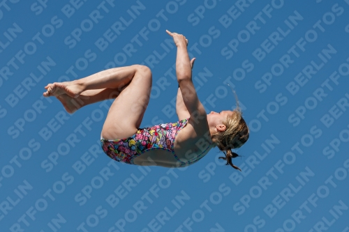 2017 - 8. Sofia Diving Cup 2017 - 8. Sofia Diving Cup 03012_25831.jpg