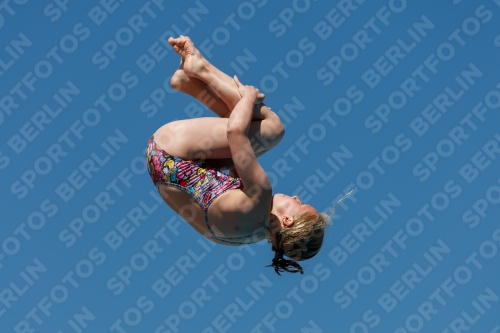 2017 - 8. Sofia Diving Cup 2017 - 8. Sofia Diving Cup 03012_25832.jpg