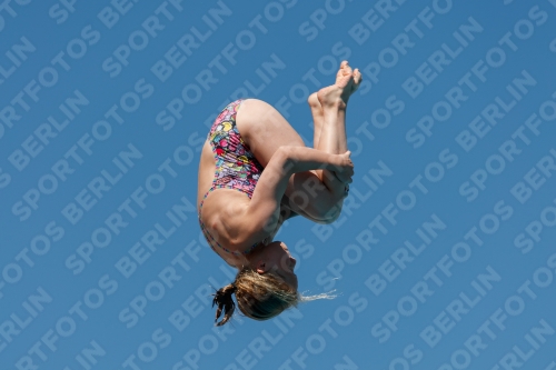 2017 - 8. Sofia Diving Cup 2017 - 8. Sofia Diving Cup 03012_25833.jpg