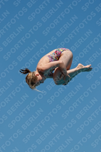2017 - 8. Sofia Diving Cup 2017 - 8. Sofia Diving Cup 03012_25834.jpg