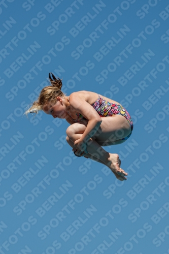 2017 - 8. Sofia Diving Cup 2017 - 8. Sofia Diving Cup 03012_25835.jpg