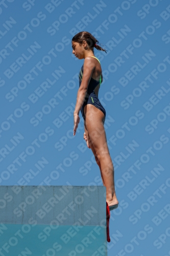 2017 - 8. Sofia Diving Cup 2017 - 8. Sofia Diving Cup 03012_25837.jpg