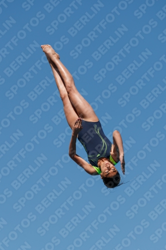2017 - 8. Sofia Diving Cup 2017 - 8. Sofia Diving Cup 03012_25843.jpg