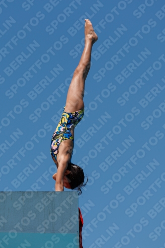 2017 - 8. Sofia Diving Cup 2017 - 8. Sofia Diving Cup 03012_25860.jpg