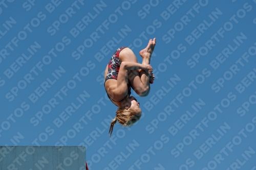 2017 - 8. Sofia Diving Cup 2017 - 8. Sofia Diving Cup 03012_25874.jpg