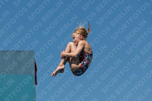 2017 - 8. Sofia Diving Cup 2017 - 8. Sofia Diving Cup 03012_25877.jpg