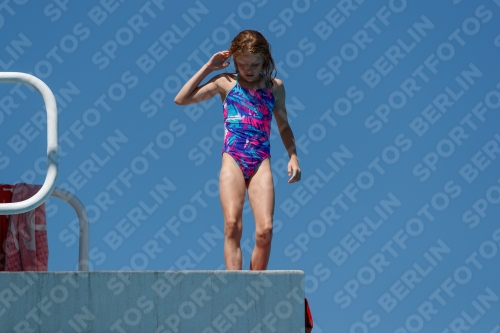 2017 - 8. Sofia Diving Cup 2017 - 8. Sofia Diving Cup 03012_25906.jpg