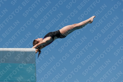 2017 - 8. Sofia Diving Cup 2017 - 8. Sofia Diving Cup 03012_25949.jpg