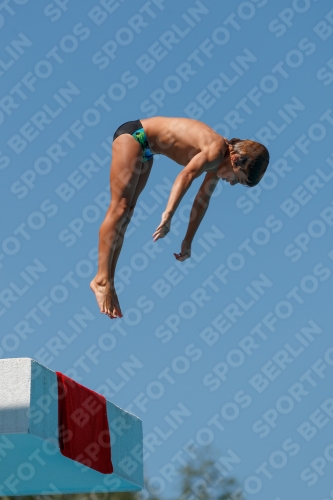 2017 - 8. Sofia Diving Cup 2017 - 8. Sofia Diving Cup 03012_26005.jpg