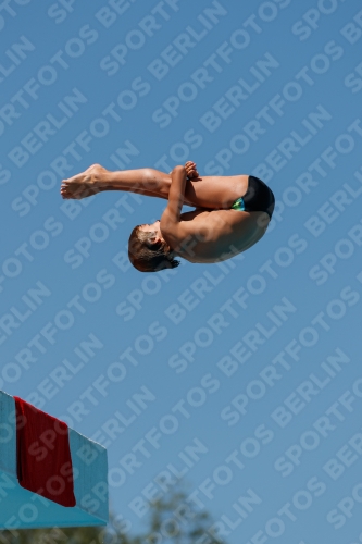 2017 - 8. Sofia Diving Cup 2017 - 8. Sofia Diving Cup 03012_26008.jpg