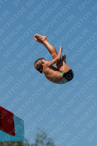 2017 - 8. Sofia Diving Cup 2017 - 8. Sofia Diving Cup 03012_26009.jpg