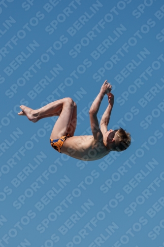 2017 - 8. Sofia Diving Cup 2017 - 8. Sofia Diving Cup 03012_26024.jpg