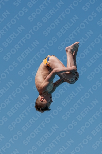 2017 - 8. Sofia Diving Cup 2017 - 8. Sofia Diving Cup 03012_26026.jpg