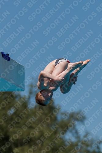 2017 - 8. Sofia Diving Cup 2017 - 8. Sofia Diving Cup 03012_26066.jpg