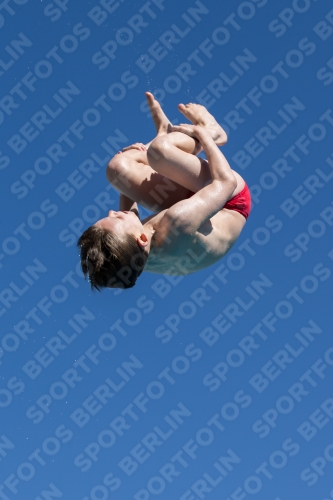 2017 - 8. Sofia Diving Cup 2017 - 8. Sofia Diving Cup 03012_26075.jpg