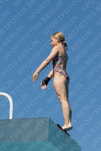 2017 - 8. Sofia Diving Cup 2017 - 8. Sofia Diving Cup 03012_26142.jpg