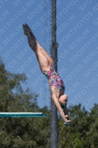 2017 - 8. Sofia Diving Cup 2017 - 8. Sofia Diving Cup 03012_26146.jpg